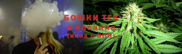 2c-b Ельня