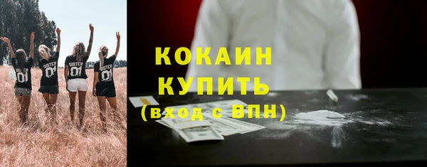 2c-b Ельня