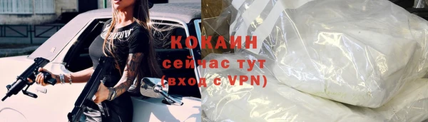 2c-b Ельня