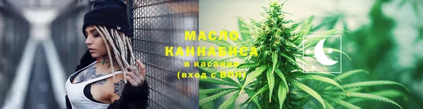 2c-b Ельня
