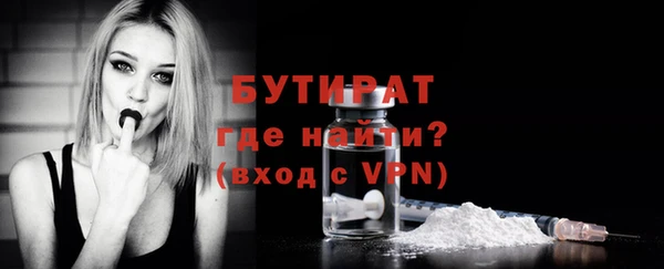 2c-b Ельня