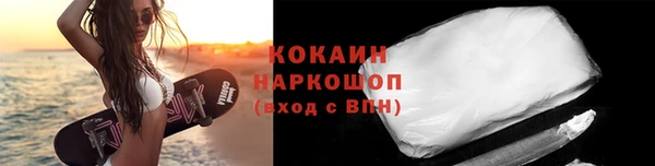 2c-b Ельня