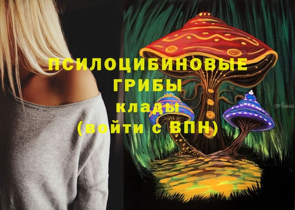 MDMA Premium VHQ Елабуга