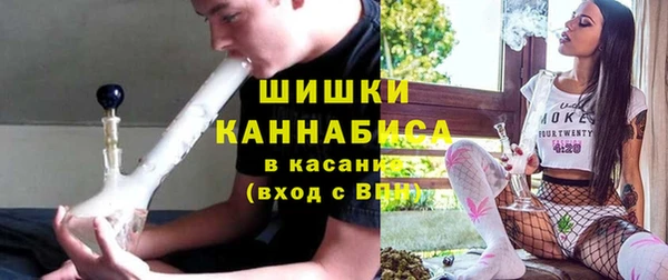 2c-b Ельня