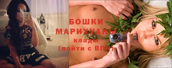 2c-b Ельня