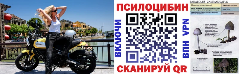 Галлюциногенные грибы мицелий  Инта 